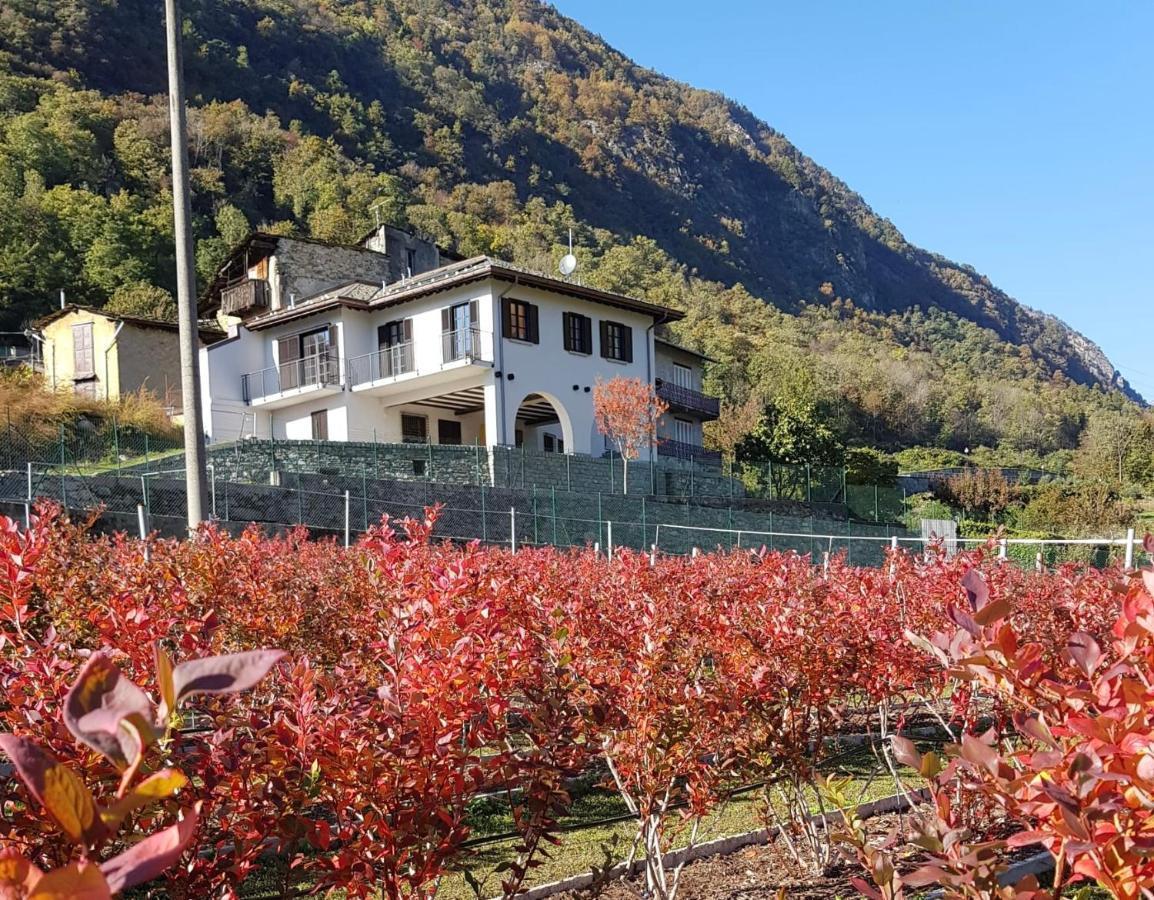 Guest House Le Cassandre Sondrio Zewnętrze zdjęcie